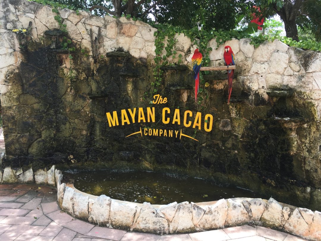 mayan cacao entrance