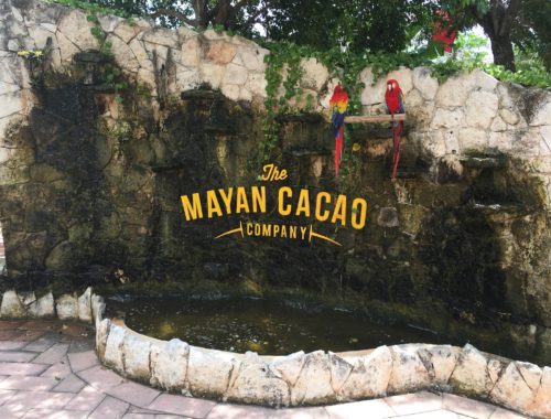 mayan cacao entrance