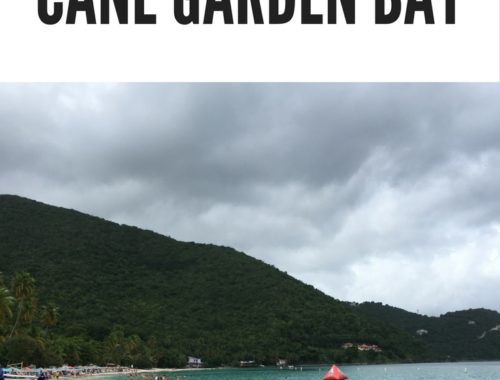 tortola cane garden bay